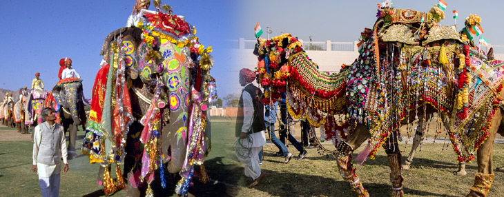Rajasthan Fairs and Festivals Tour