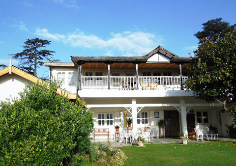 Hotel Springfields in Shimla